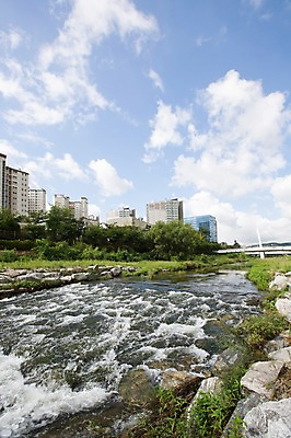 포토 JPG 주간 나무 식물 구름 하늘 풍경 사람없음 야외 건물 물 도시풍경 맑음 돌_바위 바위 잡초 탄천 국내포토 자연요소 건축물 날씨 강 도시 파일형식