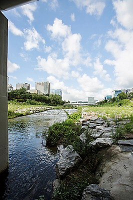 포토 JPG 주간 나무 식물 구름 하늘 풍경 사람없음 야외 건물 물 도시풍경 맑음 돌_바위 바위 잡초 탄천 국내포토 자연요소 건축물 날씨 강 도시 파일형식