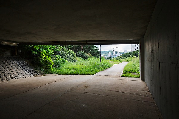 포토 JPG 주간 나무 식물 길 사람없음 야외 건물 도시풍경 산책로 잡초 탄천 가교 국내포토 자연요소 건축물 풍경 강 도시 파일형식