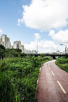 포토 JPG 주간 나무 식물 구름 가로등 하늘 풍경 사람없음 건물 도시풍경 맑음 산책로 돌_바위 바위 잡초 탄천 국내포토 자연요소 건축물 공공시설 길 날씨 강 도시 파일형식