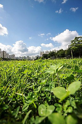 포토 JPG 주간 나무 식물 구름 하늘 풍경 사람없음 야외 건물 도시풍경 맑음 잡초 국내포토 자연요소 건축물 날씨 도시 파일형식