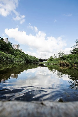 포토 JPG 주간 나무 식물 구름 공원 하늘 풍경 잔디 사람없음 야외 물 맑음 탄천 국내포토 자연요소 공공시설 날씨 강 파일형식