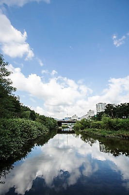 포토 JPG 주간 나무 식물 구름 공원 하늘 풍경 잔디 사람없음 야외 물 맑음 탄천 국내포토 자연요소 공공시설 날씨 강 파일형식