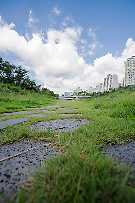 포토 JPG 주간 나무 식물 구름 공원 하늘 풍경 빌딩 잔디 사람없음 야외 맑음 도시 국내포토 자연요소 공공시설 날씨 건물 파일형식