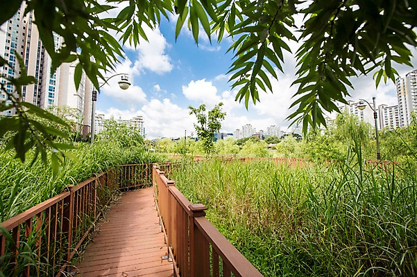 포토 JPG 주간 나무 식물 구름 공원 길 하늘 풍경 빌딩 잔디 사람없음 야외 맑음 산책로 도시 구름다리 국내포토 자연요소 공공시설 날씨 건물 다리_건축물 파일형식