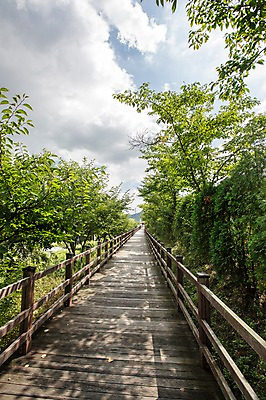 포토 JPG 주간 나무 식물 구름 공원 하늘 풍경 잔디 사람없음 야외 맑음 산책로 도시 구름다리 국내포토 자연요소 공공시설 길 날씨 다리_건축물 파일형식