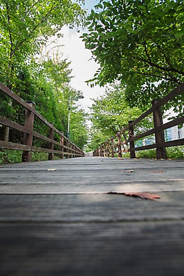 포토 JPG 주간 나무 식물 구름 공원 길 하늘 풍경 잔디 사람없음 야외 울타리 맑음 산책로 구름다리 국내포토 자연요소 공공시설 날씨 담장 다리_건축물 파일형식