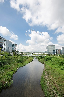 포토 JPG 주간 나무 식물 구름 공원 하늘 풍경 빌딩 잔디 사람없음 야외 물 맑음 도시 탄천 국내포토 자연요소 공공시설 날씨 건물 강 파일형식