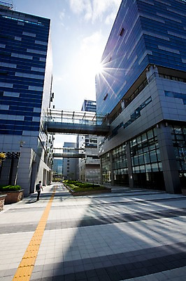 포토 JPG 주간 식물 구름 남자 하늘 거리 한명 사람 풍경 빌딩 성인 야외 건물 햇빛 한국인 도시 보행자 화단 국내포토 자연요소 1 건축물 동양인 태양 파일형식