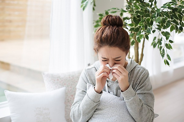 포토 JPG 스튜디오촬영 식물 우먼라이프 라이프스타일 여자 쿠션 모션 실내 한명 들기 사람 앉기 상반신 성인 앞모습 30대 한국인 슬픔 화장지 고독 이별 창가 싱글 그리움 성인여자한명만 장년만 장년여자만 장년여자한명만 국내포토 1 감정 뷰포인트 컨셉 창문 동양인 내부 생활 장년 여자만 여자한명만 성인여자만 성인만 파일형식