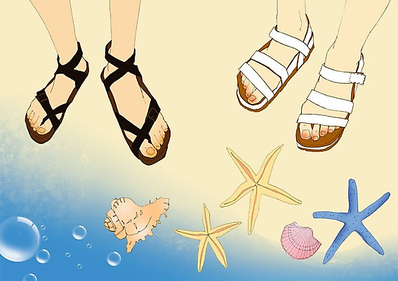 주간 PSD 바다 여행 신발 일러스트 발 휴가 조개 불가사리 사람 야외 신체부위 샌들 해수욕장 국내일러스트 자연요소 어패류 극피동물 파일형식