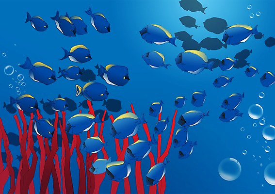 PSD 바다 여행 백그라운드 일러스트 휴가 어류 사람없음 물 수중 물방울 해조류 국내일러스트 자연요소 수중동물 해양식물 파일형식