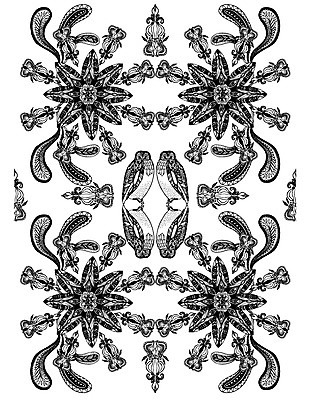 동물 문양 컬러 백그라운드 패턴 일러스트 흑백 사람없음 패턴백그라운드 부엉이 대칭 젠탱글 국내일러스트 AI파일 무늬 조류 촬영기법 파일형식 벡터