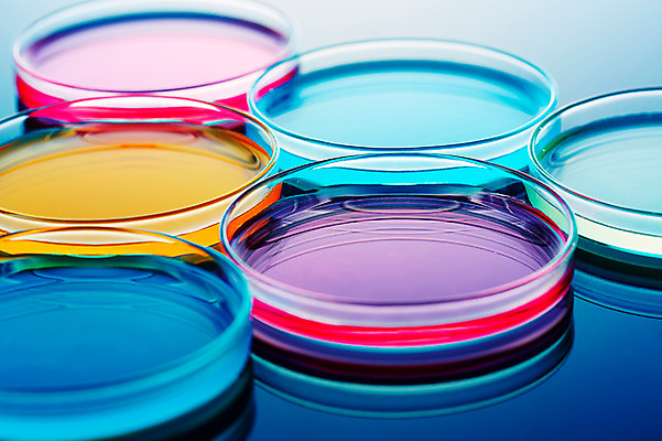 포토 JPG 스튜디오촬영 배경화면 백그라운드 의학 실험기구 사람없음 아웃포커스 치료 오브젝트 샬레 국내포토 과학 촬영기법 실내 파일형식