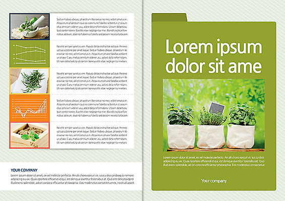 식물 템플릿 편집 표지디자인 북디자인 웰빙 출판디자인 표지 화분 백그라운드 북커버 자연 그래프 팜플렛 사람없음 팻말 허브 유기농 절구 막자사발 절굿공이 이미지템플릿 AI파일 프레임 도구 사발 생태계 파일형식 벡터