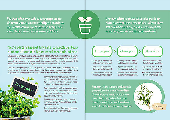 식물 템플릿 편집 표지디자인 북디자인 웰빙 출판디자인 내지 화분 백그라운드 북커버 자연 팜플렛 사람없음 새싹 팻말 허브 유기농 로즈메리 이미지템플릿 AI파일 프레임 생태계 파일형식 벡터