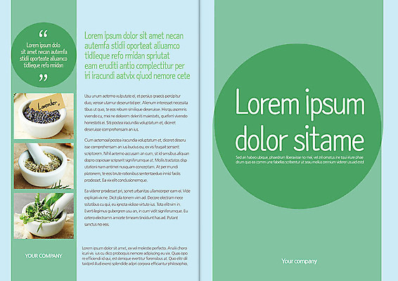 식물 템플릿 편집 표지디자인 북디자인 웰빙 출판디자인 표지 음식 백그라운드 북커버 자연 곡류 팜플렛 사람없음 사발 허브 유기농 절구 절굿공이 이미지템플릿 AI파일 도구 사기그릇 생태계 파일형식 벡터