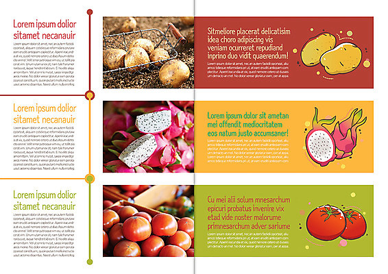 템플릿 편집 표지디자인 북디자인 웰빙 출판디자인 내지 음식 백그라운드 토마토 채소 북커버 과일 자연 단면 감자 씨앗 팜플렛 사람없음 농작물 바구니 흙 수확 유기농 용과 이미지템플릿 AI파일 식물 농업 생태계 파일형식 벡터