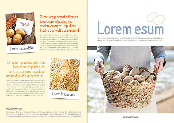 템플릿 편집 표지디자인 북디자인 웰빙 출판디자인 표지 음식 백그라운드 채소 북커버 자연 감자 한명 들기 팜플렛 농작물 바구니 숟가락 당근 수확 쌀 유기농 고구마 이미지템플릿 AI파일 1 농업 모션 곡류 뿌리채소 수저 사람 생태계 파일형식 벡터