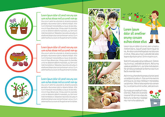 나무 식물 템플릿 편집 표지디자인 북디자인 손 출판디자인 여자 남자 꽃 내지 화분 어린이 백그라운드 채소 북커버 가족 감자 옥수수 서기 웃음 사람 동양인 소녀 소년 팜플렛 신체부위 세명 농작물 한국인 수확 고구마 파 주말농장 어린이만 이미지템플릿 AI파일 농업 관계 모션 곡류 뿌리채소 표정 인종 농장 파일형식 벡터