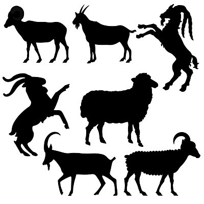 EPS 해외이미지 일러스트 추상 염소 새로움 새해 목재 중국 양 재산 자르기 연도 심볼 사인 흰배경 점성술 2015년 고립 춘절 막 해외202004 해외일러스트 나무 명절 아시아 컨셉 무늬 재료 포유류 모션 금융 흰색 중국전통 파일형식 벡터 식물 동물 전통 기념일 나라 컬러 경제 이벤트 이미지허브