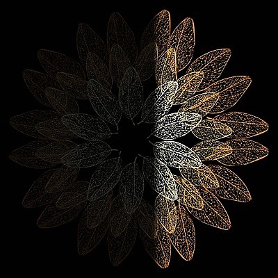 EPS 해외이미지 나무 식물 손 디자인 계절 실루엣 종이 벽 포즈 백그라운드 단풍 잎 꽃무늬 패턴 오렌지 일러스트 자연 벽지 추상 건물 그래픽 장식 초록색 컴퓨터 갈색 노란색 유행 가을 직물 화려 우아함 떨어짐 수집 그림 질감 복고 윤곽 엘리먼트 스타일 방식 효과 해외202004 해외일러스트 건축물 꽃 컬러 컨셉 무늬 과일 촬영기법 신체부위 전자제품 생태계 파일형식 벡터 이미지허브