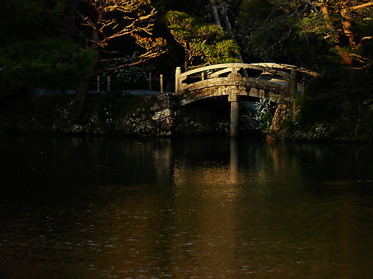 포토 JPG 해외이미지 나무 아시아 문화 자연 미술 동양인 풍경 사람없음 초록색 물 정원 일본 바위 연못 역사 그늘 교토 옛날 해외202004 해외포토 자연요소 식물 나라 컬러 문화예술 인종 돌_바위 생태계 파일형식 이미지허브