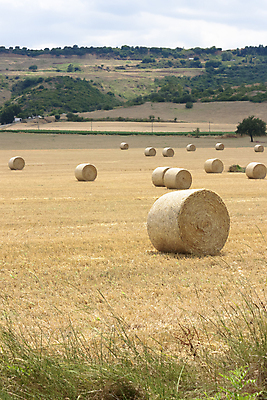포토 JPG 해외이미지 구름 캐나다 밭 자연 하늘 날씨 건조 풍경 사람없음 초록색 파란색 농작물 울타리 농장 수확 재산 고독 볏짚 큼 땅 자르기 묘사 서식 청록색 철사 철조망 뭉치 내추럴 수평선 시리즈 해외202004 해외포토 자연요소 감정 컬러 북아메리카 농업 모션 금융 담장 짚 크기 생태계 파일형식 이미지허브