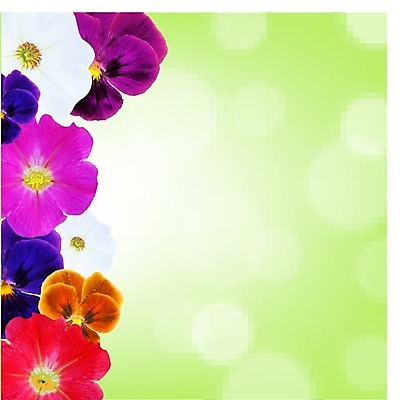 EPS 해외이미지 식물 꽃잎 꽃 백그라운드 꽃무늬 일러스트 프레임 사랑 여름 파란색 한개 보라색 봄 흰색 신용카드 개화 자르기 제비꽃 오브젝트 흰배경 정사각형 보케 블러 비올라 어머니의날 피튜니아 해외202004 해외일러스트 도형 1 계절 기념일 감정 컬러 무늬 모션 금융 미국문화 파일형식 벡터 찰현악기 이미지허브