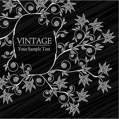 EPS 해외이미지 식물 꽃 백그라운드 잎 꽃무늬 곡선 일러스트 프레임 사람없음 해외202004 해외일러스트 선 무늬 파일형식 벡터 이미지허브