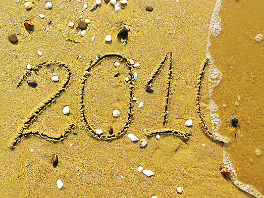 포토 JPG 해외이미지 파도 바다 조개 사람없음 삭제 해외202004 해외포토 어패류 파일형식 이미지허브