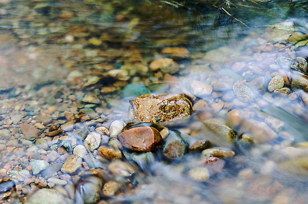 포토 JPG 해외이미지 나무 1 산 이끼 풍경 사람없음 물 강 화목 가을 투명 해외202004 해외포토 자연요소 식물 계절 컨셉 파일형식 이미지허브