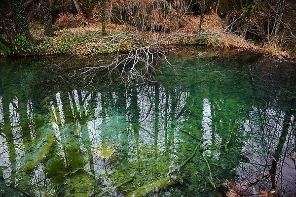 포토 JPG 해외이미지 공원 호수 여행 백그라운드 자연 국립공원 사람없음 야외 초록색 물 환경 봄 추위 흰색 연못 신선 투명 큼 시원함 크로아티아 내추럴 해외202004 해외포토 자연요소 계절 공공시설 유럽 컬러 크기 생태계 파일형식 이미지허브