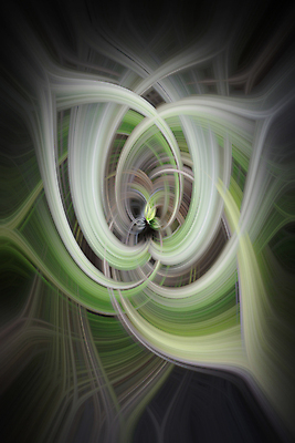 포토 JPG 해외이미지 디자인 산업 별 선 과학 백그라운드 무지개 패턴 곡선 벽지 바람 추상 나선형 미술 사람없음 그래픽 초록색 파란색 빛 컬러풀 우주 힘 페인트 줄무늬 소용돌이 회오리 원형 액체 야간 코스모스 질감 은하계 폭풍 천문학 무한 발생 생태학 특별함 스타일 해외202004 해외포토 자연요소 도형 교육 꽃 컬러 컨셉 무늬 날씨 문화예술 파일형식 이미지허브