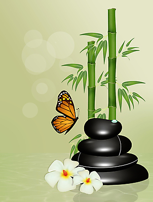 포토 JPG 해외이미지 꽃 나비 신체 날개 일러스트 휴식 건강 사람없음 치료 스파 화장품 활발 마사지 난초 센터 대나무 테라피 돌봄 해외202004 해외포토 나무 식물 곤충 컨셉 의학 모션 뷰티 파일형식 이미지허브