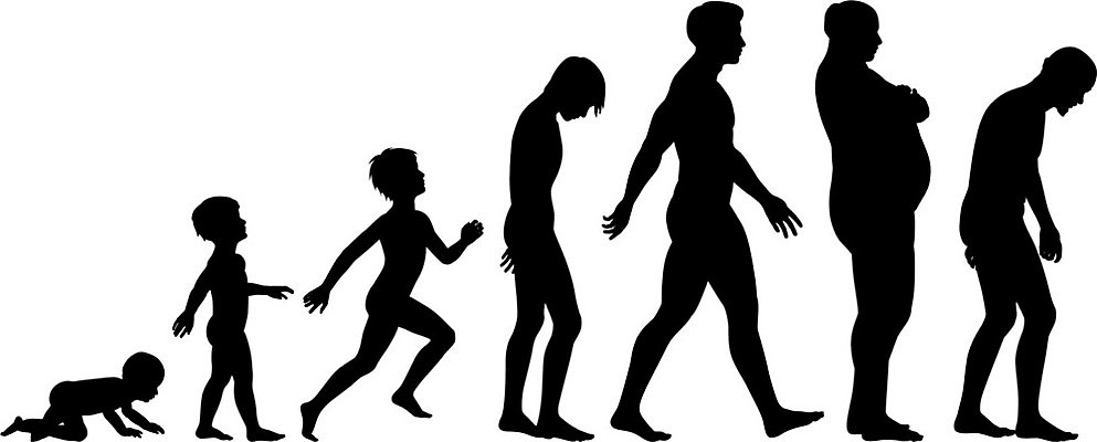 EPS 해외이미지 디자인 실루엣 어린이 일러스트 사람 성인 그래픽 10대 걷기 성장 아기 윤곽 세대 진행 노화 해외202004 해외일러스트 컨셉 모션 청소년 촬영기법 파일형식 벡터 이미지허브