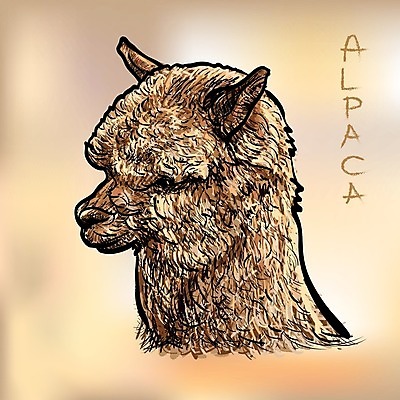 EPS 해외이미지 동물 응시 백그라운드 일러스트 포유류 자연 털 농장 갈색 머리 가축 흰색 스케치 양모 고립 라마 알파카 페루 해외202004 해외일러스트 시선 컬러 농업 미술 신체부위 직물 남아메리카 생태계 파일형식 벡터 이미지허브