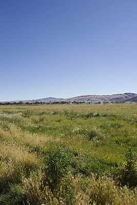 포토 JPG 해외이미지 식물 구름 포즈 잎 밭 농업 모션 하늘 바람 풍경 사람없음 야외 초록색 물 여름 농작물 농장 기계 장비 성장 농촌 신선 뜨거움 큼 환경보전 물주기 일렬 스프레이 분무기 스프링쿨러 세련 해외202004 해외포토 자연요소 계절 산업 컬러 날씨 시골 크기 사회이슈 파일형식 이미지허브