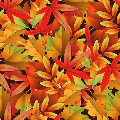 EPS 해외이미지 나무 식물 디자인 계절 백그라운드 단풍 잎 꽃무늬 패턴 오렌지 일러스트 자연 벽지 추상 미술 그래픽 장식 빨간색 컬러풀 갈색 노란색 유행 정원 가을 흰색 직물 숲 인쇄 9월 타일 그림 질감 자작나무 10월 내추럴 엘리먼트 해외202004 해외일러스트 꽃 컬러 무늬 과일 문화예술 날짜 생태계 파일형식 벡터 이미지허브