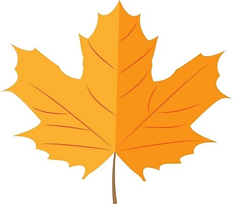 EPS 해외이미지 나무 식물 디자인 계절 단풍 잎 꽃무늬 오렌지 일러스트 자연 갈색 노란색 가을 흰색 플랫 9월 오브젝트 에코 10월 내추럴 떠남 엘리먼트 해외202004 해외일러스트 꽃 컬러 무늬 과일 모션 환경 날짜 생태계 파일형식 벡터 이미지허브