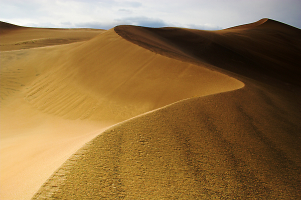 포토 JPG 해외이미지 모래 여행 패턴 곡선 자연 하늘 바람 건조 풍경 사람없음 여름 모래사장 갈색 노란색 사막 구부린 모래언덕 지그재그 해외202004 해외포토 자연요소 계절 선 바다 컬러 무늬 모션 날씨 언덕 생태계 파일형식 이미지허브