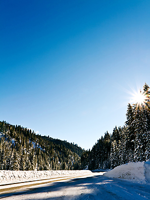포토 JPG 해외이미지 나무 계절 도로 여행 겨울 곡선 자연 하늘 표면 날씨 산 풍경 사람없음 야외 목재 파란색 햇빛 맑음 냉동 얼음 운전 추위 흰색 나뭇가지 고속도로 숲 아스팔트 12월 언덕 장면 루트 눈내림 해외202004 해외포토 자연요소 식물 길 선 컬러 재료 교통시설 모션 눈_날씨 태양 날짜 생태계 파일형식 이미지허브