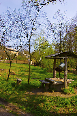 포토 JPG 해외이미지 나무 사람없음 초록색 물 봄 시골 해외202004 해외포토 자연요소 식물 계절 컬러 파일형식 이미지허브