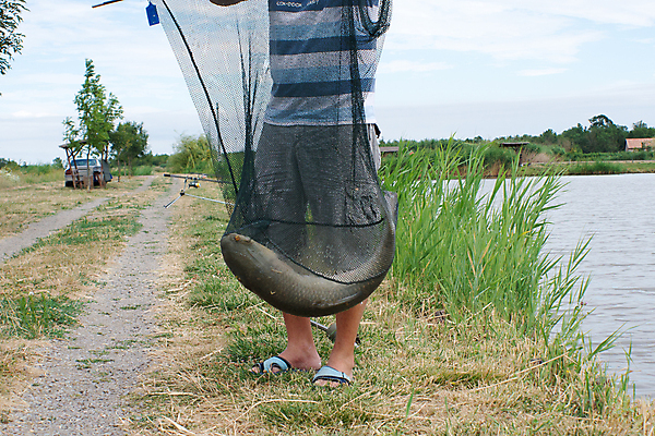 포토 JPG 해외이미지 손 남자 호수 바다 아침 낚시 저울 어류 어업 사람없음 야외 물 신선 잡기 업무 그물 운반 속도 낚시꾼 방법 많음 해외202004 해외포토 주간 자연요소 산업 컨셉 모션 레저 사람 신체부위 수중동물 작업 파일형식 이미지허브