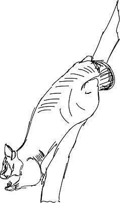 EPS 해외이미지 나무 동물 실루엣 얼굴 야생동물 백그라운드 일러스트 자연 추상 생물 동물원 미술 성인 세트 머리 검은색 미국 흰색 아기 호주 쥐 인쇄 작음 만화 수집 그림 영양 악어 반대 주둥이 유인원 고립 해외202004 해외일러스트 식물 컬러 북아메리카 무늬 포유류 파충류 문화예술 촬영기법 사람 신체부위 오세아니아 설치류 크기 생태계 파일형식 벡터 이미지허브