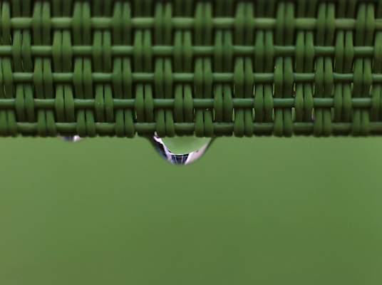 포토 JPG 해외이미지 식물 백그라운드 자연 표면 사람없음 초록색 물 반사 거품 젖음 물방울 신선 투명 액체 닫기 떨어짐 이슬 빗방울 순수 질감 해외202004 해외포토 자연요소 컬러 컨셉 모션 비_날씨 생태계 파일형식 이미지허브