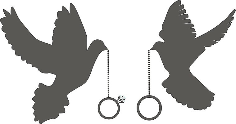 EPS 해외이미지 모양 식물 동물 전통 디자인 실루엣 지구 결혼 백그라운드 컨셉 일러스트 회사 자연 조류 하늘 추상 휴가 사랑 미술 그래픽 유행 평화 희망 자유 흰색 축하 반지 심볼 깃털 사인 올리브 비둘기 클립 고립 돌봄 무료 엘리먼트 해외202004 해외일러스트 열매 감정 컬러 무늬 비즈니스 장신구 모션 문화예술 촬영기법 이벤트 생태계 파일형식 벡터 이미지허브