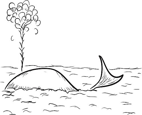 EPS 해외이미지 바다 일러스트 사람없음 라인아트 고래 물뿜기 해외202004 해외일러스트 선 포유류 수중동물 파일형식 벡터 이미지허브
