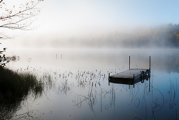 포토 JPG 해외이미지 나무 호수 잎 자연 하늘 아침 사람없음 물 파란색 반사 평화 새벽 안개 가을 나뭇가지 보트 황무지 가장자리 습지 숲 속도 내추럴 뿌연 해외202004 해외포토 주간 자연요소 식물 계절 컬러 컨셉 배_교통 날씨 둘레 생태계 파일형식 이미지허브