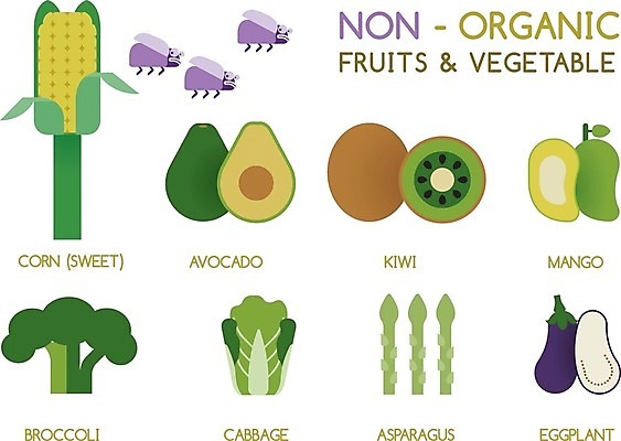 EPS 해외이미지 디자인 포스터 음식 채소 과일 일러스트 재료 자연 생물 샌드위치 건강 키위 옥수수 안전 그래픽 초록색 세트 인포그래픽 정보 시장 벌레 상품 브로콜리 수집 유기농 양배추 아스파라거스 배지 망고 아보카도 내추럴 무료 유전자변형 세련 해외202004 해외일러스트 웰빙 컬러 곤충 곡류 열대과일 생태계 파일형식 벡터 이미지허브